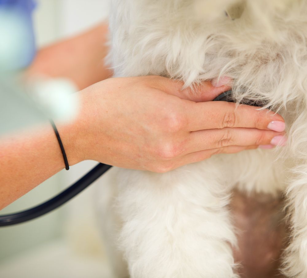 The Heart of the Matter